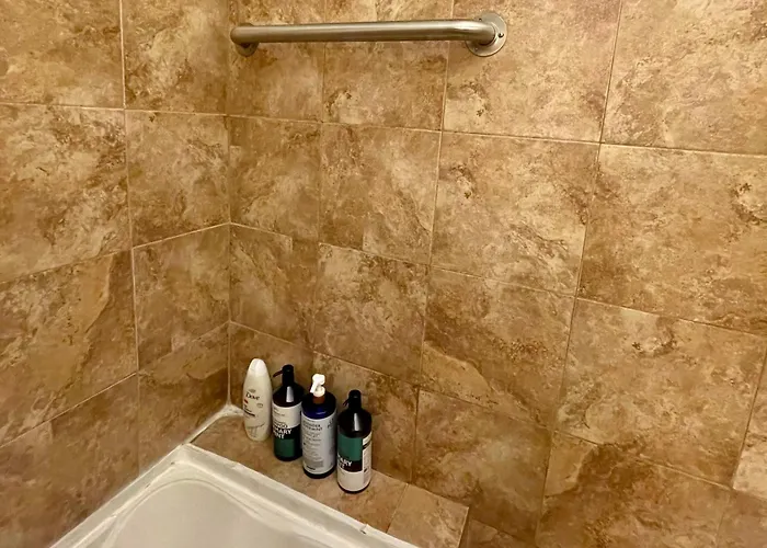 Fully Furnished 2br Near Oak Park I Utilities Included I Car Available Chicago